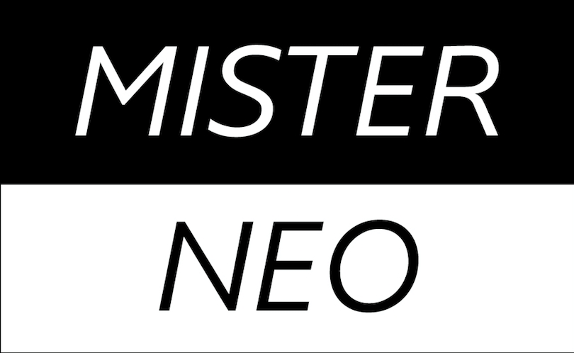 Logo Mister Neo
