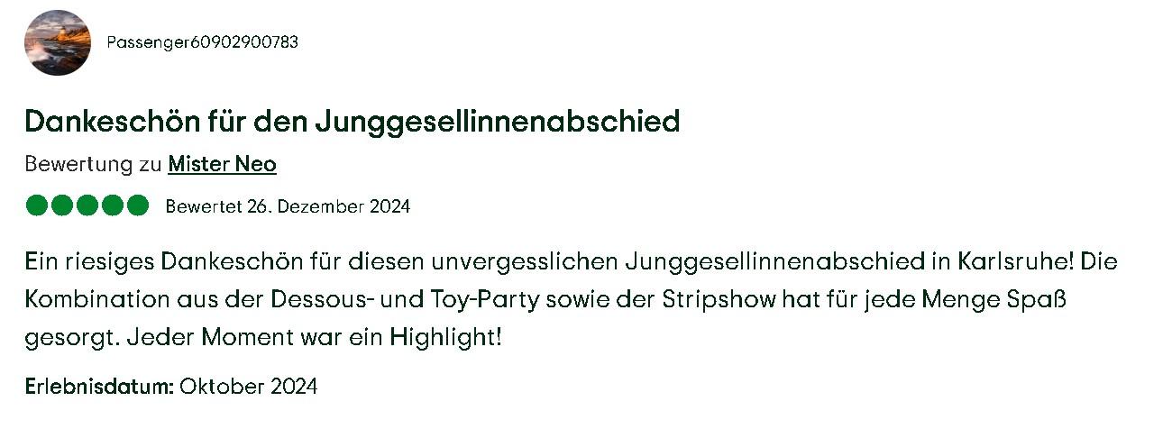 Toy Party Bewertung Mister Neo