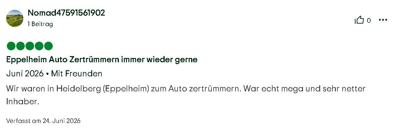 Auto Zertrümmern Bewertung Mister Neo 02