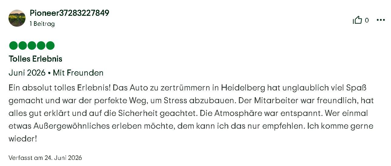 Auto Zertrümmern Bewertung Mister Neo 03