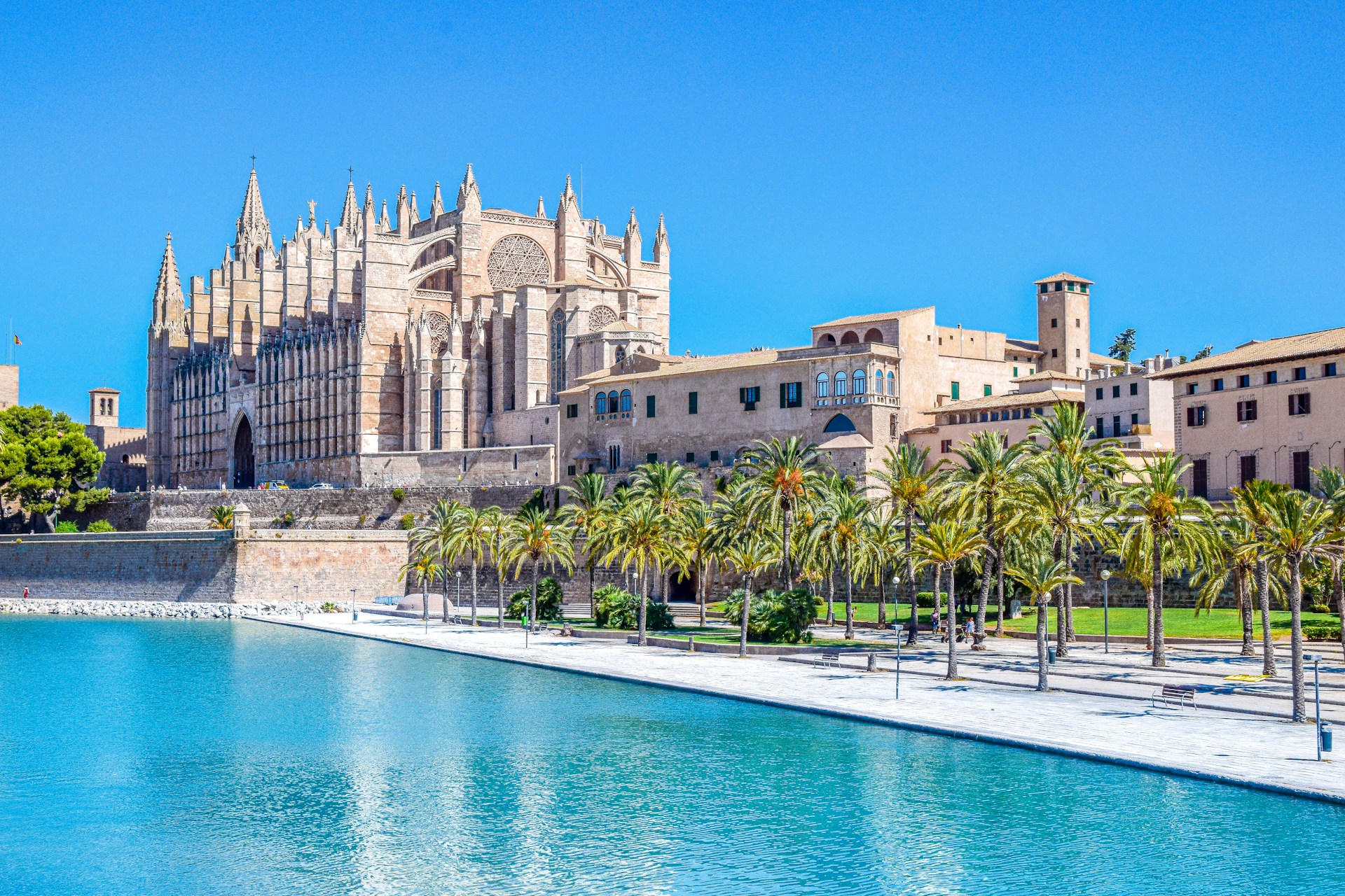 Palma