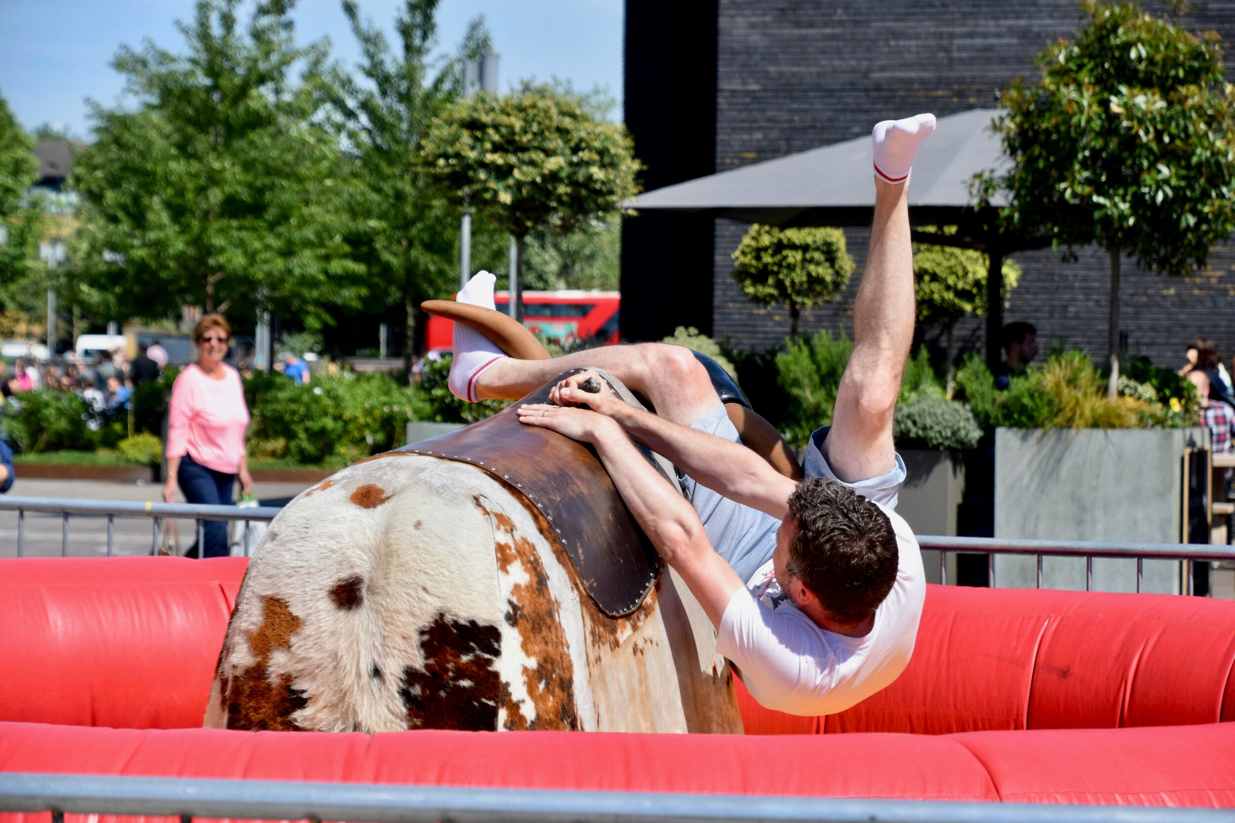 Bullenreiten